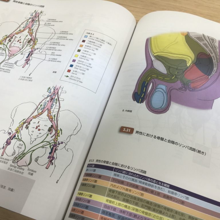 グラント解剖学図譜 本 | aljiha24.ma